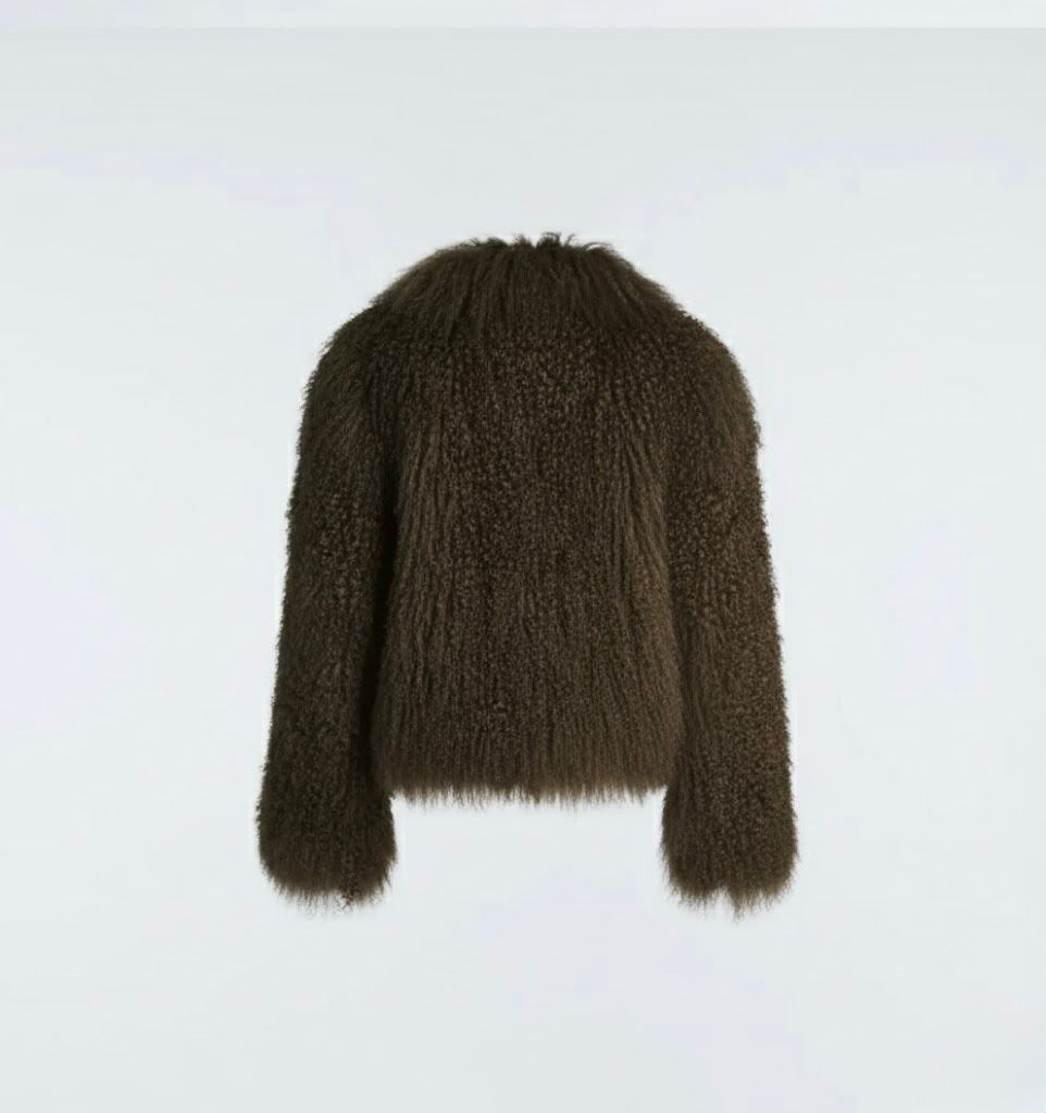 The Mongolian Coat